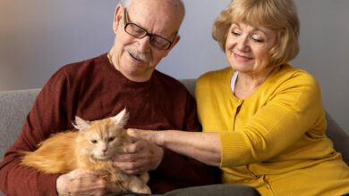 Amor incondicional: o papel dos animais de estimação no bem-estar emocional dos tutores.