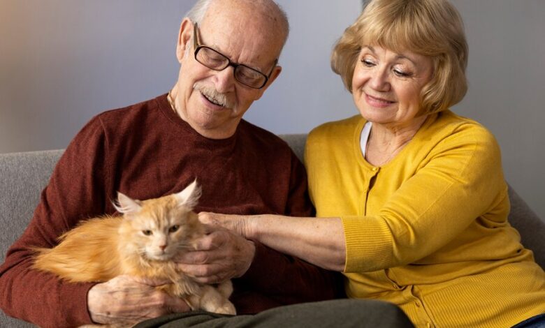 Amor incondicional: o papel dos animais de estimação no bem-estar emocional dos tutores.