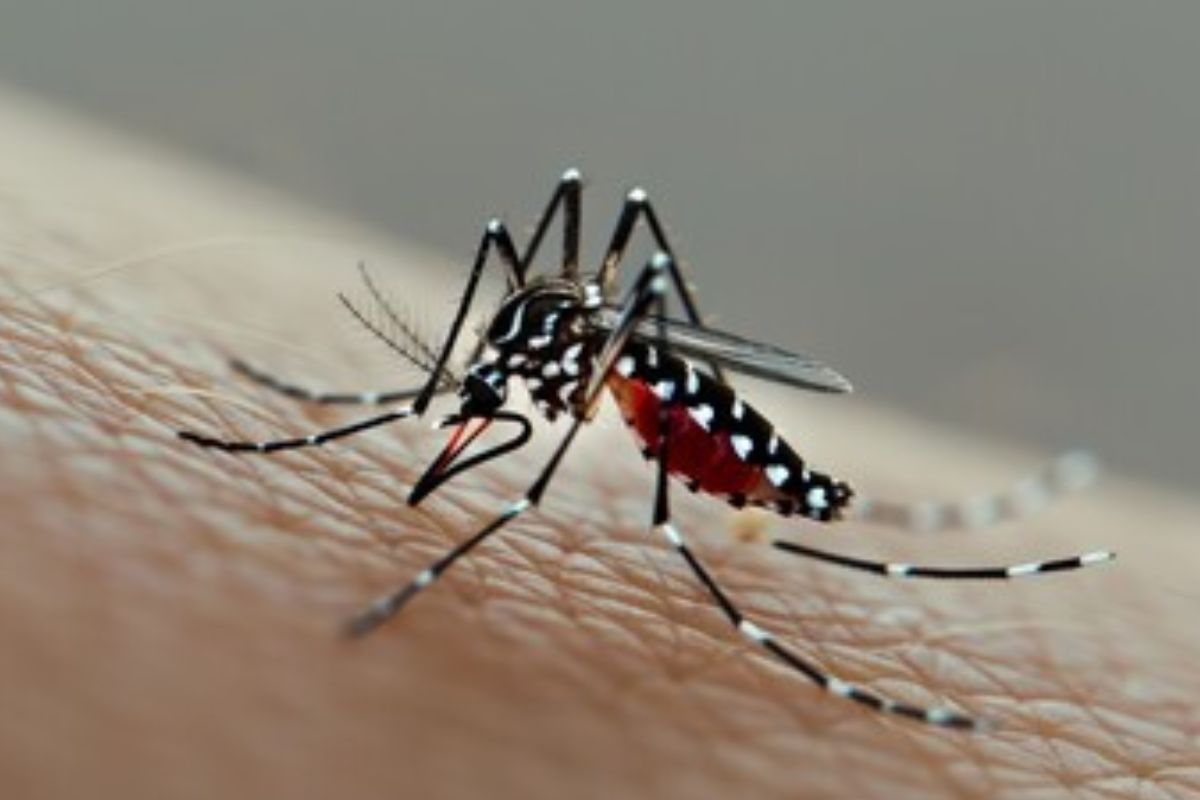 Ministério da Saúde Lança Novas Medidas para Prevenção de Doenças Virais