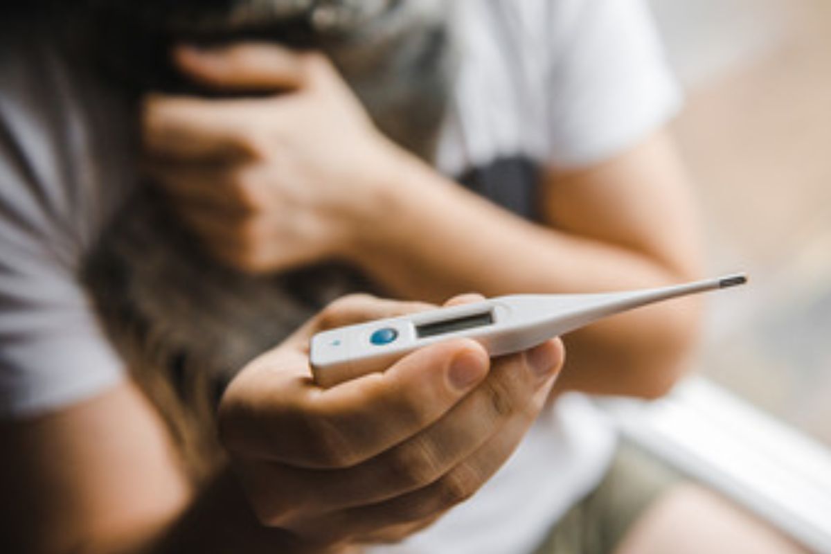 Vírus Oropouche: Descubra os Sintomas, Formas de Transmissão e Medidas de Prevenção