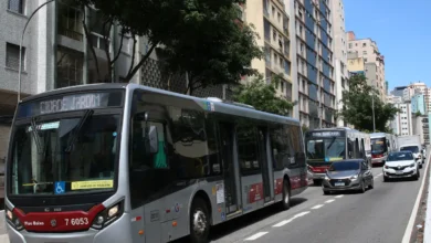 Passagens gratuitas e acessibilidade no transporte para idosos. Imagem: Agência Brasil