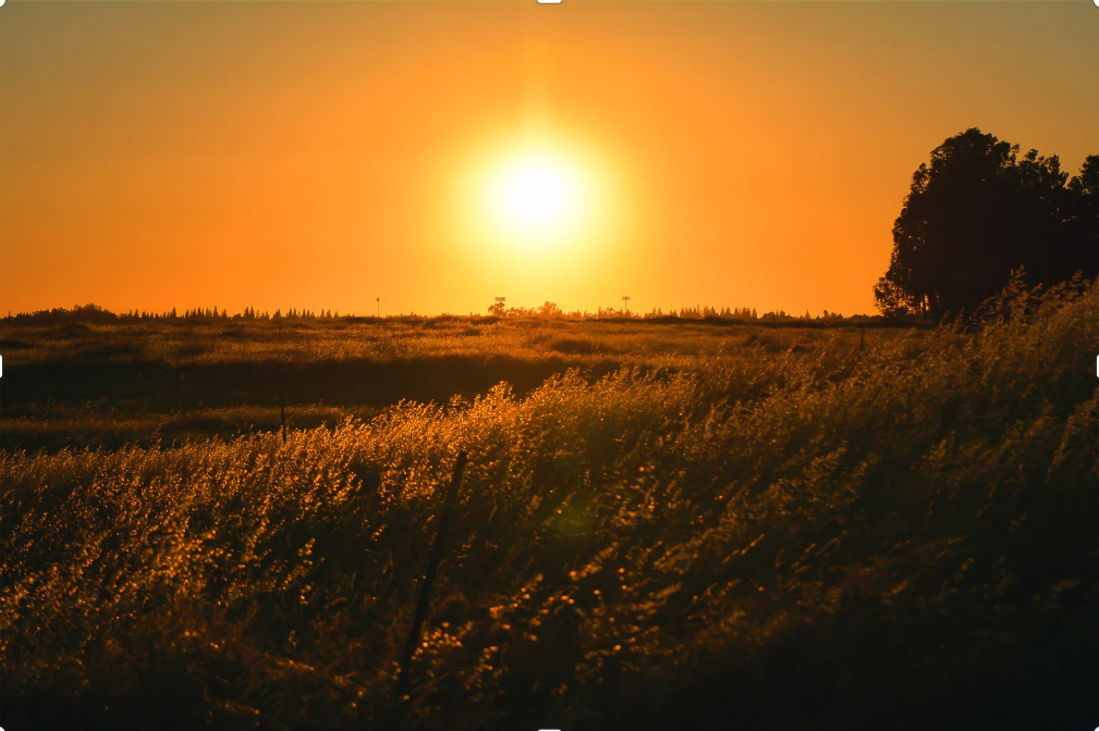 Se você sabe que ela costuma ter tardes agitadas no trabalho, uma mensagem carinhosa pode ser um alento bem-vindo. Imagem: Canva