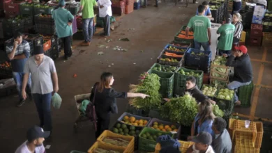 Imagem de uma Pessoa ecolhendo abacaxi na feira