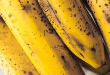 Guia Prático: Como Armazenar Bananas Corretamente e Evitar o Escurecimento