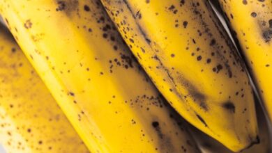 Guia Prático: Como Armazenar Bananas Corretamente e Evitar o Escurecimento