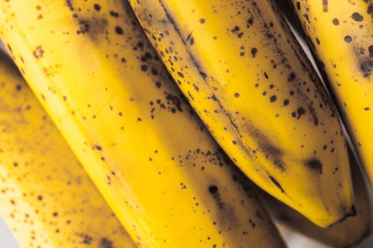Guia Prático: Como Armazenar Bananas Corretamente e Evitar o Escurecimento