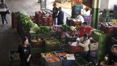 Imagem de uma feira vendendo coentro