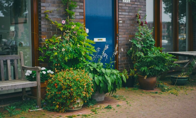 Plantas coloridas ao redor de uma porta, representando a beleza das plantas que florescem o ano todo em varandas ou terraços.