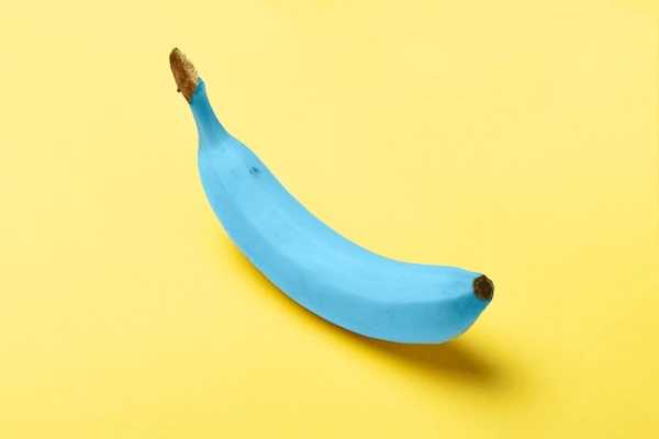 Banana azul 