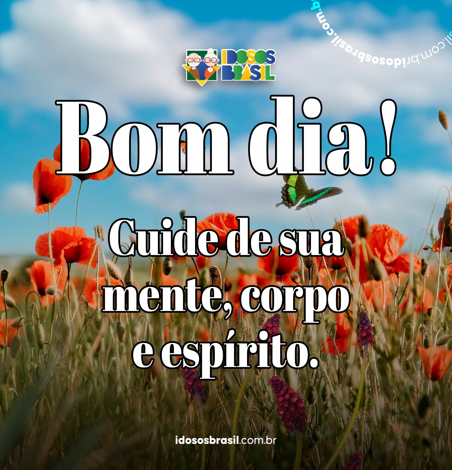Mensagem de bom dia
