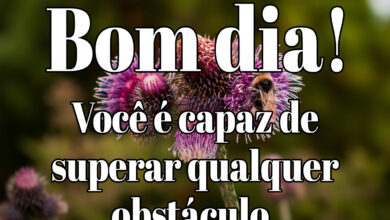 Mensagem de Bom Dia inspiradora com frase motivacional: 'Você é capaz de superar qualquer obstáculo.