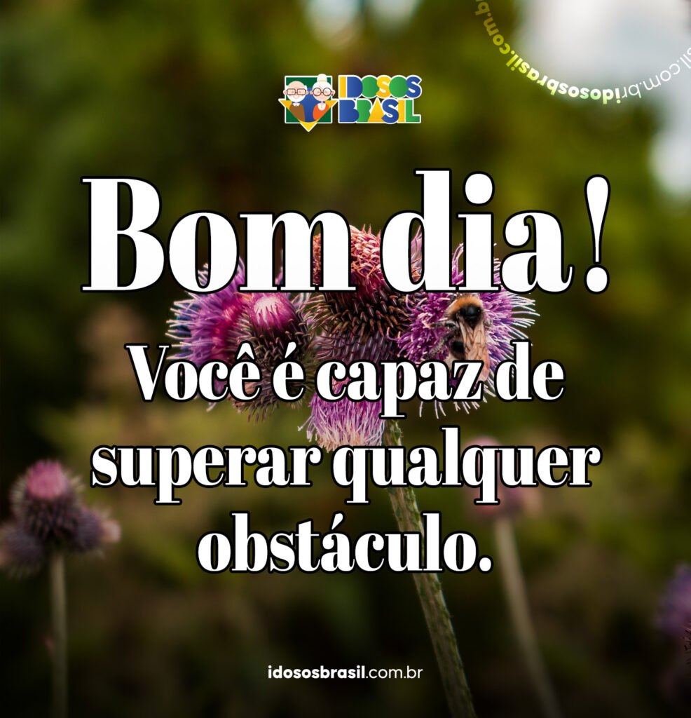 Mensagem motivacional de bom dia com a frase 'Você é capaz de superar qualquer obstáculo' sobre uma imagem de flor