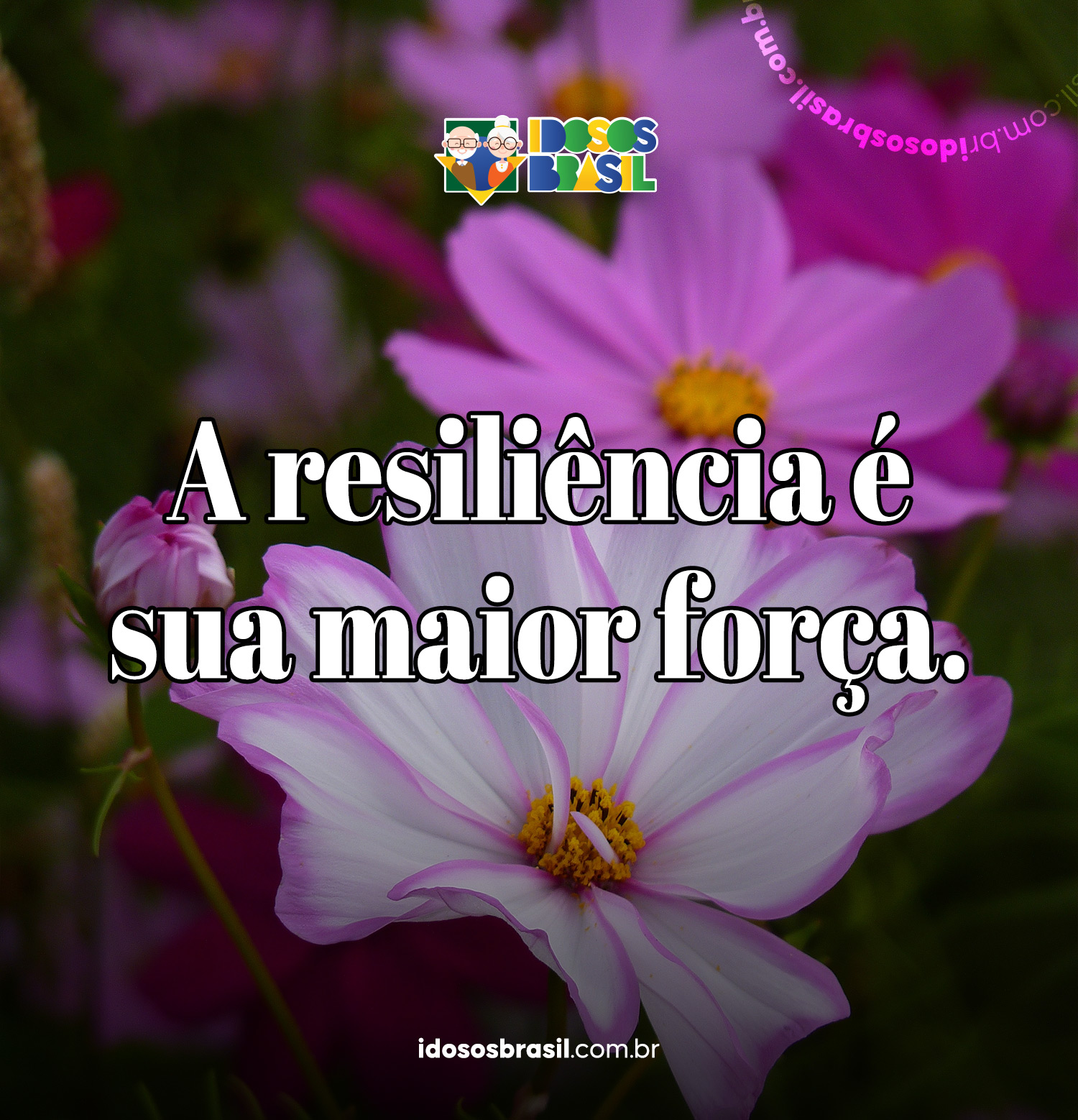 Mensagem motivacional sobre resiliência e força interior.