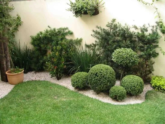 Jardim minimalista com buxinhos podados em formas arredondadas e plantas ornamentais.