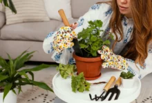 Pessoa plantando temperos em vaso com luvas coloridas e ferramentas de jardinagem