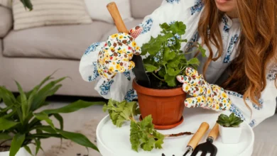 Pessoa plantando temperos em vaso com luvas coloridas e ferramentas de jardinagem