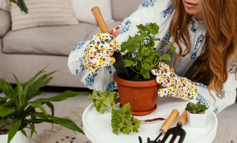 Pessoa plantando temperos em vaso com luvas coloridas e ferramentas de jardinagem