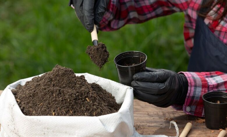 Jardineiro colocando terra em um vaso, preparando o solo para cultivo e plantio sustentável.