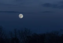 Lua cheia brilhando sobre a paisagem noturna com silhuetas de árvores.