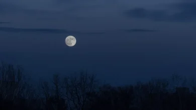 Lua cheia brilhando sobre a paisagem noturna com silhuetas de árvores.