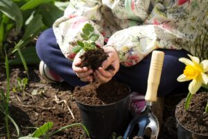 Criança plantando uma muda em um vaso com terra fértil, simbolizando o uso de adubo caseiro no cultivo de plantas.