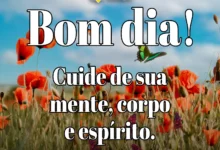 Mensagem de bom dia com borboleta e campo florido ao fundo.