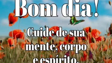 Mensagem de bom dia com borboleta e campo florido ao fundo.