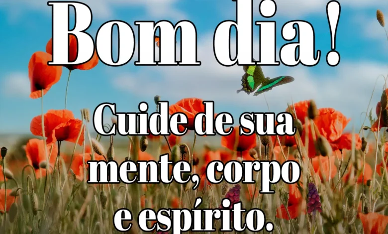 Mensagem de bom dia com borboleta e campo florido ao fundo.