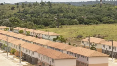 Imagem do conjunto habitacional do programa Minha Casa Minha Vida 2025 em área rural.