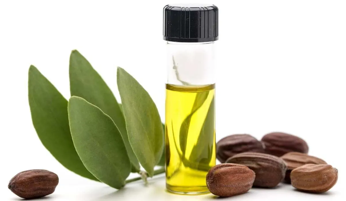 Frasco de óleo de jojoba ao lado de sementes e folhas, conhecido por equilibrar a oleosidade da pele e cabelos.