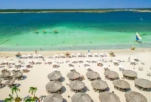 Vista aérea de uma praia paradisíaca no Brasil, com mar azul-turquesa, areia branca e cabanas de palha