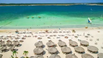 Vista aérea de uma praia paradisíaca no Brasil, com mar azul-turquesa, areia branca e cabanas de palha