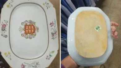 Prato de porcelana raro comprado em brechó, com detalhes florais e brasão central.