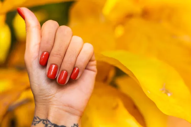 Mão com unhas esmaltadas de vermelho, mostrando um polegar para cima, com fundo de folhas amarelas.