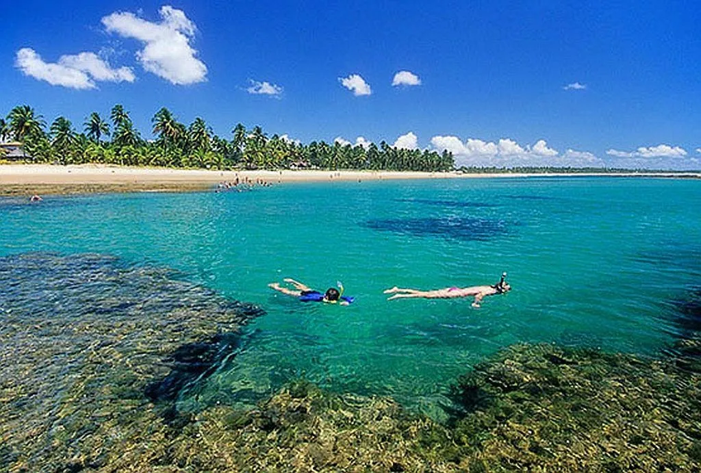 Mergulhadores explorando as águas cristalinas e os recifes de corais na Praia de Taipu de Fora, Península de Maraú