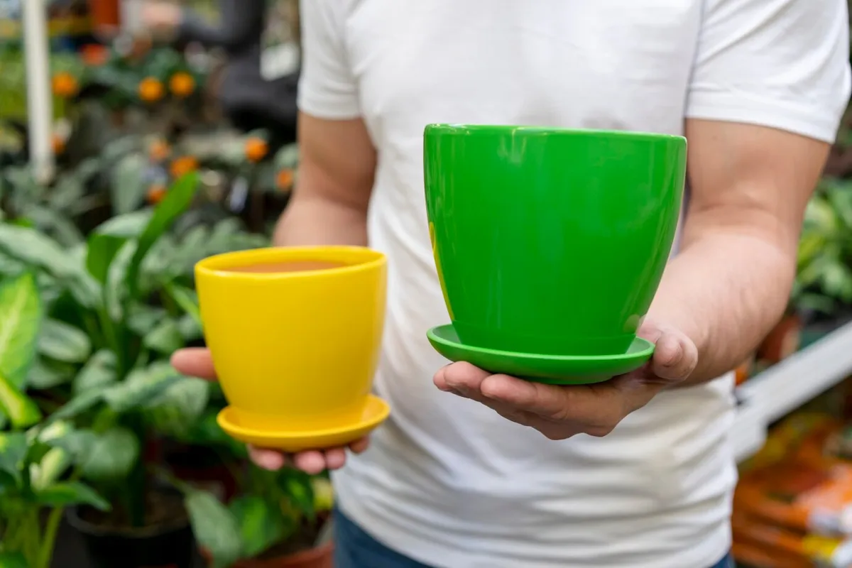 Imagem mostrando dois vasos coloridos, um amarelo e um verde, com pratinhos, em um ambiente de jardinagem. Representa a prática do uso de pratinhos sob vasos.