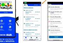 VAI COMEÇAR: Governo começa a atualizar app do Bolsa Família com as informações de março