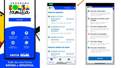 VAI COMEÇAR: Governo começa a atualizar app do Bolsa Família com as informações de março