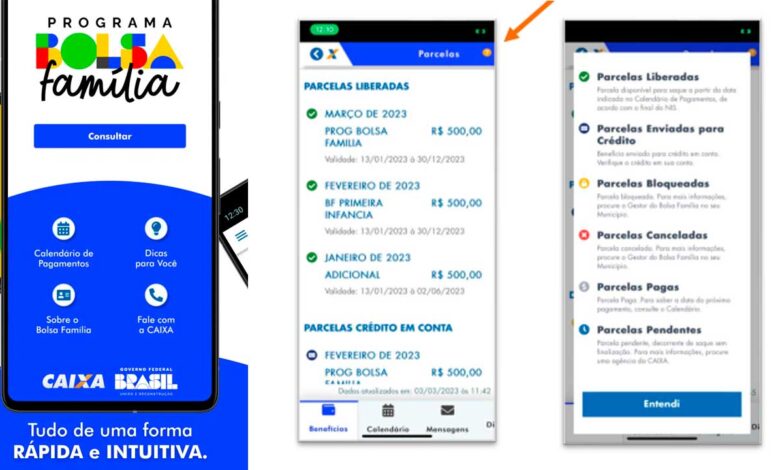 VAI COMEÇAR: Governo começa a atualizar app do Bolsa Família com as informações de março