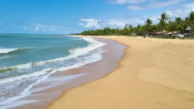 Praia tranquila no sul da Bahia, com mar calmo e céu claro, cercada por vegetação tropical