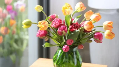 Arranjo de tulipas coloridas em vaso de vidro verde, iluminado pela luz natural
