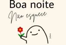 Ilustração carinhosa com mensagens de boa noite e flor, destacando a importância da pessoa.