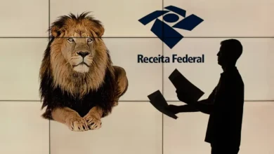 Imagem do leão da Receita Federal e uma pessoa segurando papéis, representando a declaração do Imposto de Renda.