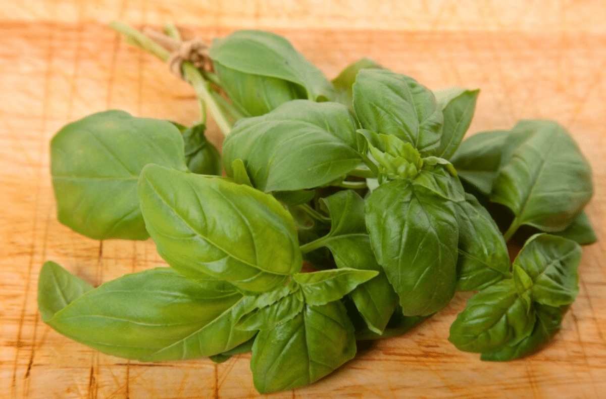 Folhas frescas de manjericão sobre superfície de madeira, ideais para manter uma horta caseira saudável.