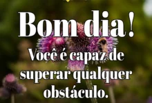 Imagem de flores com uma mensagem de bom dia, destacando uma frase motivacional sobre superar obstáculos.