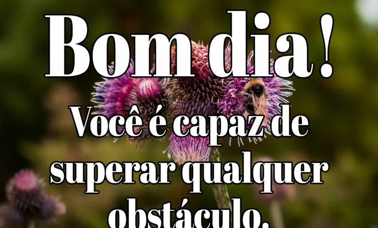 Imagem de flores com uma mensagem de bom dia, destacando uma frase motivacional sobre superar obstáculos.