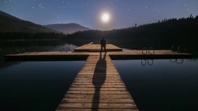 Reflexão noturna à beira do lago sob a luz da lua