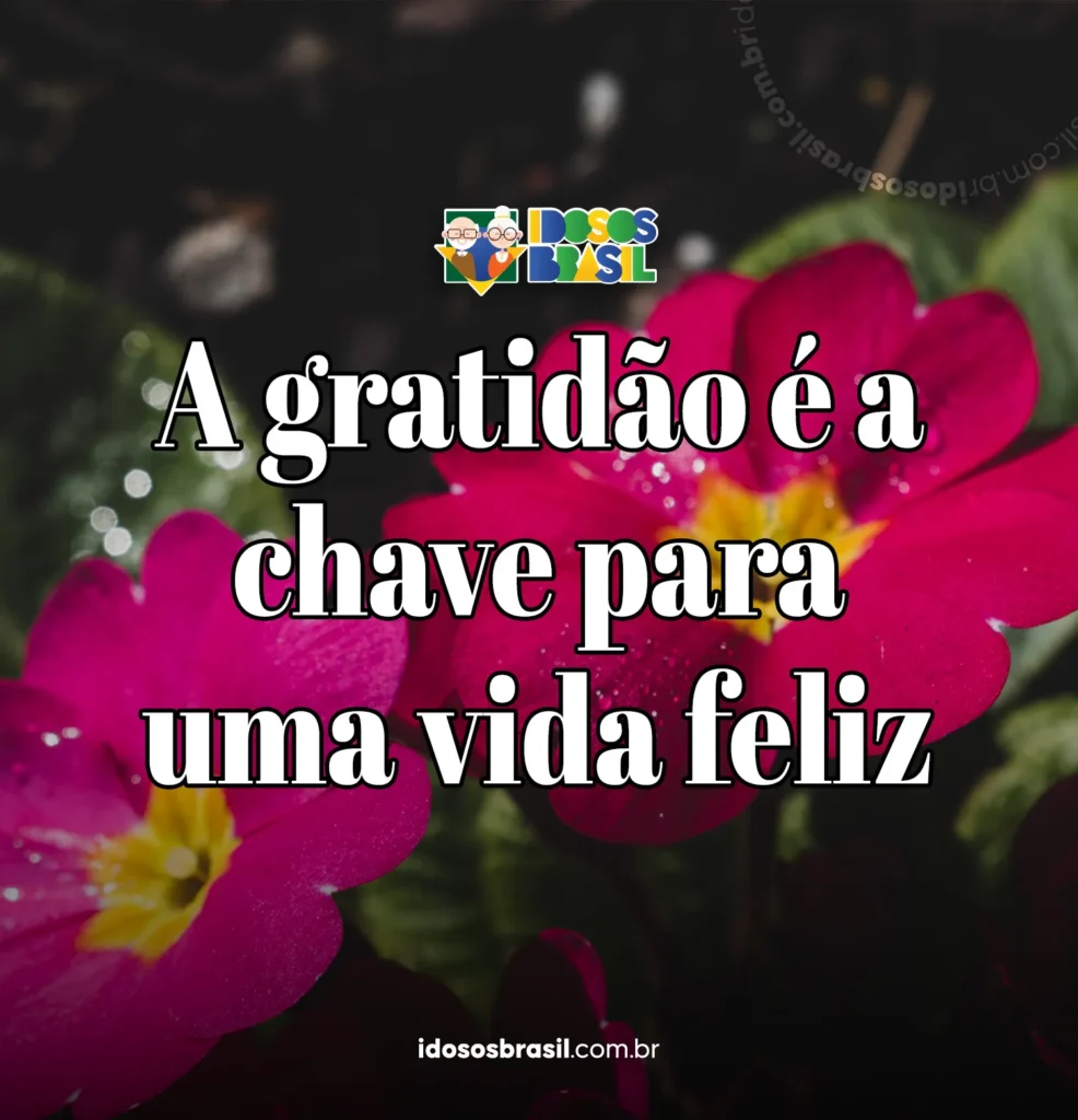 Flores vibrantes com uma mensagem inspiradora sobre gratidão e felicidade.