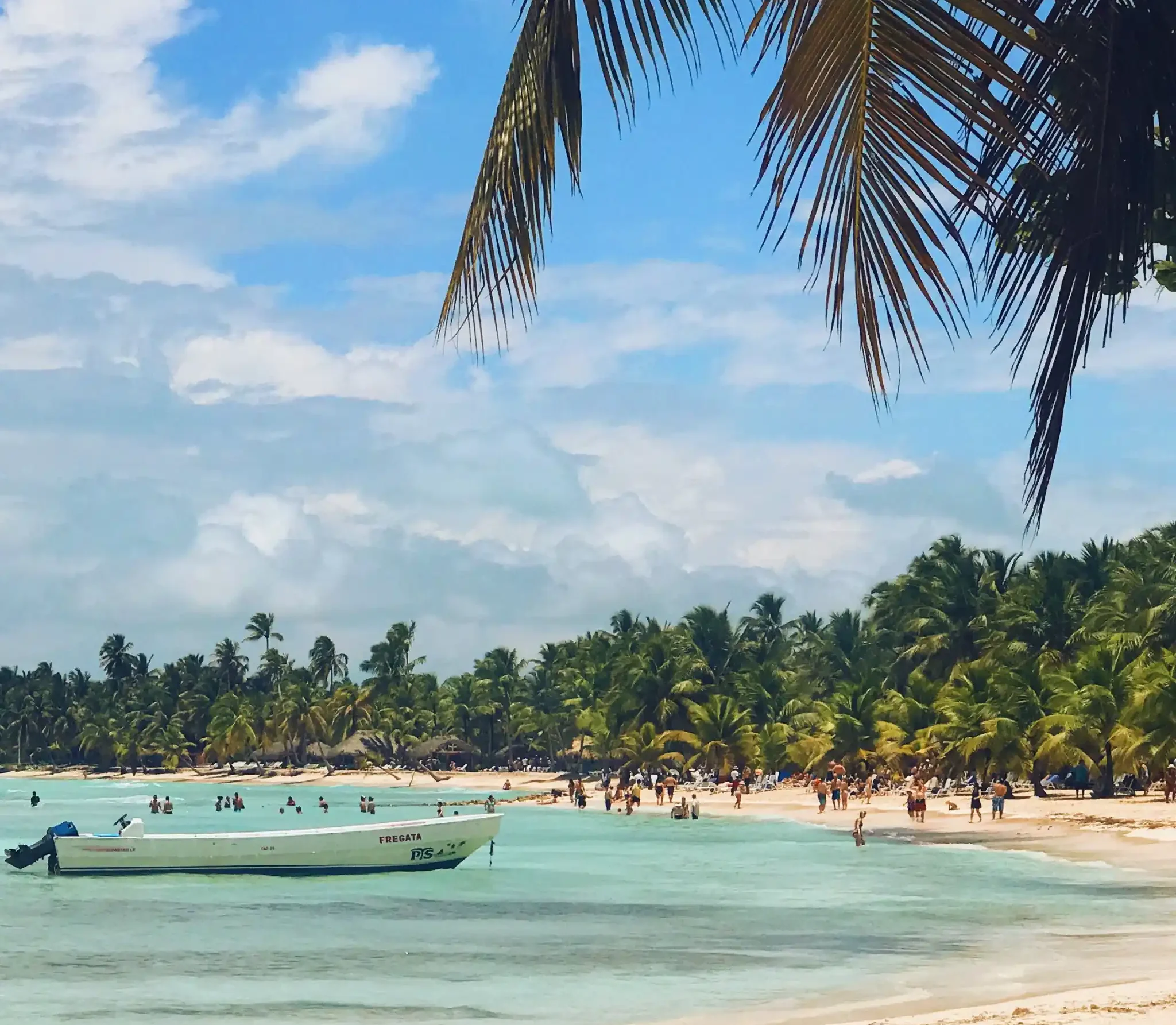 Praia paradisíaca com águas claras e coqueiros, representando a beleza natural de uma das praias mais famosas de Recife.