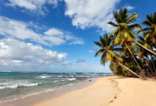 Praia com coqueiros à beira-mar e águas claras, representando uma das praias mais famosas de Recife.